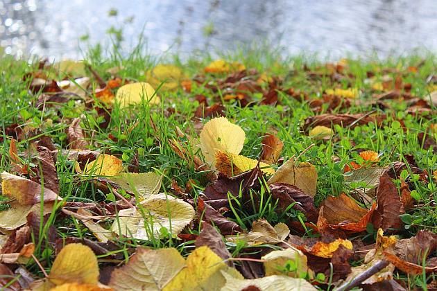 Temperatura maksymalna wyniesie 3°C