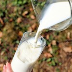 Zbyt wiele jest mitów dotyczących mleka. Pić je - czy nie pić?