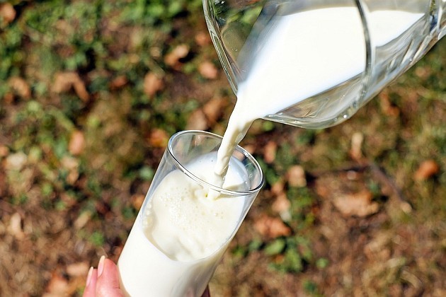 Zbyt wiele jest mitów dotyczących mleka. Pić je - czy nie pić?