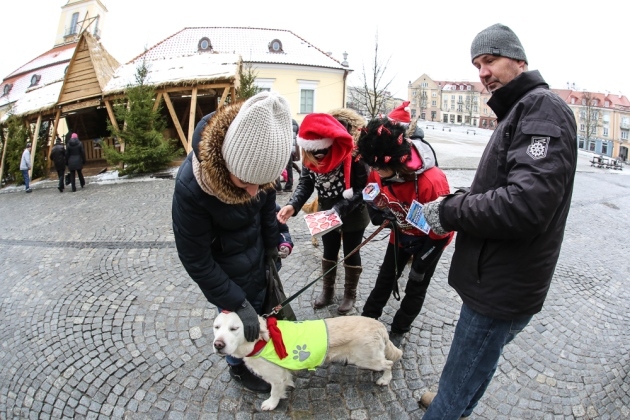 WOŚP. Można zostać wolontariuszem