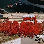 Neony, Solidarność i dziura w ziemi. Nowe prace w Arsenale