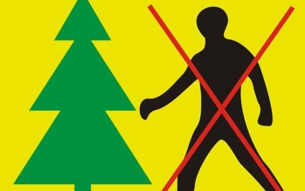 Puszcza Białowieska. Obowiązuje zakaz wstępu do lasu