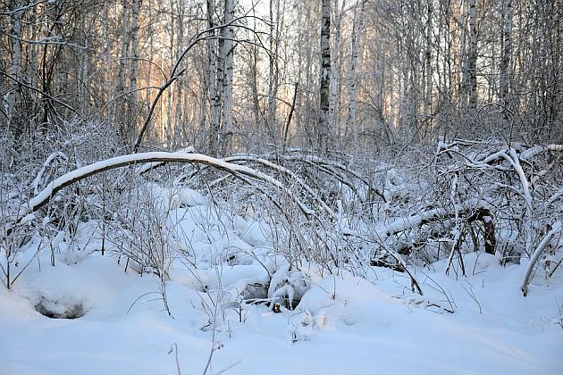 Termometry wskażą -4ºC