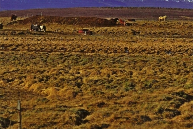 Islandia w fotografii i poezji. Pierwsze takie wydawnictwo