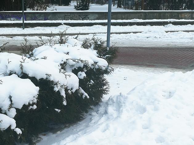 Czekają nas opady deszczu ze śniegiem