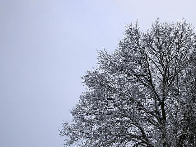 W piątek temperatura wyniesie maksymalnie 2ºC