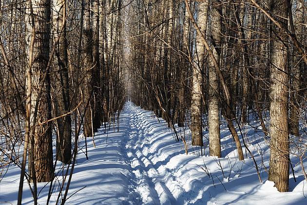 Termometry wskażą nawet -8ºC