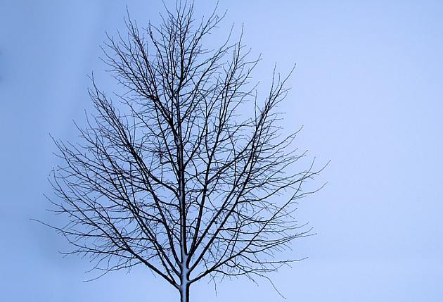 Ciśnienie atmosferyczne nieco spadnie