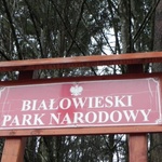 Jest nowy dyrektor Białowieskiego Parku Narodowego