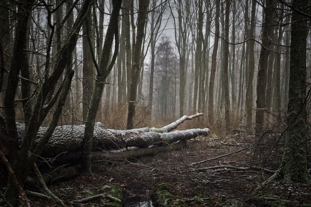 Ciśnienie atmosferyczne wzrośnie