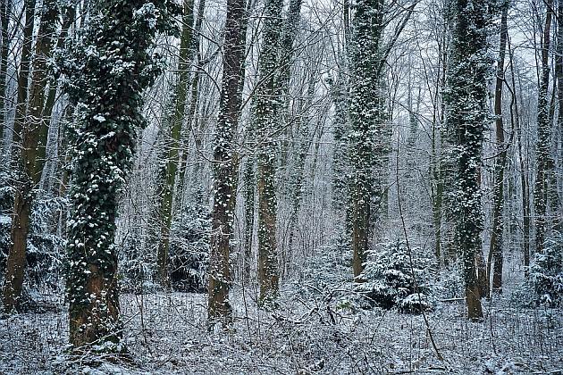 Termometry wskażą nawet -7ºC