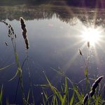 Ciało pływało w Biebrzy. Dostrzegli je kajakarze