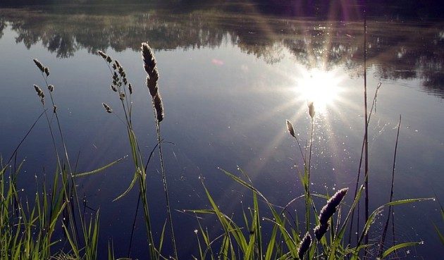 Ciało pływało w Biebrzy. Dostrzegli je kajakarze