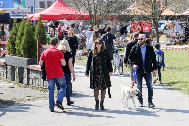 Specjalna akcja. Dla psów, które nie mają domów [ZDJĘCIA]