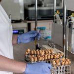 Projekt "Białystok Plus". Wnioski po przebadaniu około 500 osób