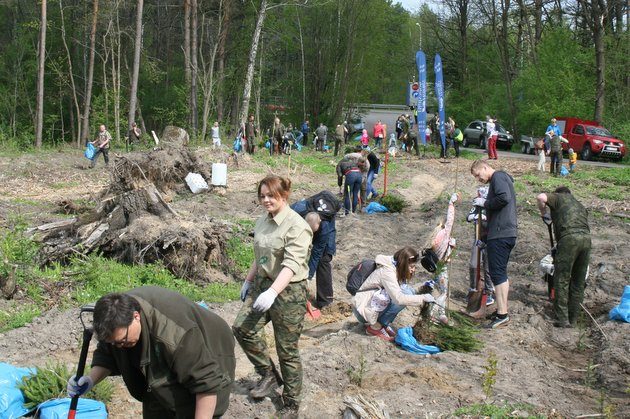 Wiatr połamał setki drzew. Białostoczanie posadzili w tym miejscu nowe