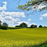 Wiosenne słońce nad miastem. Ciepły wtorek