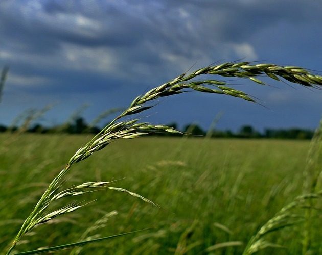 Słońce schowa się za chmurami. Zmiana pogody w Białymstoku