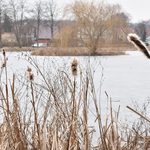 Miała być kapliczka, będą budki dla ptaków. Staw przy Mickiewicza do odnowy