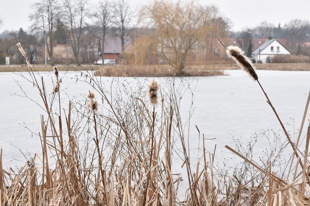 Miała być kapliczka, będą budki dla ptaków. Staw przy Mickiewicza do odnowy