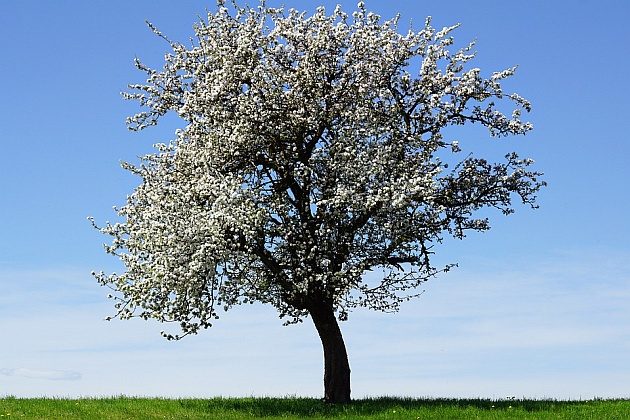 Bezchmurna środa w Białymstoku. Upały nie odpuszczają