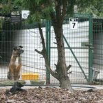 Zbliża się kolejny PSAcer. Jest mało czasu na zgłoszenia