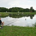 Stawy Marczukowskie się zazielenią. Nowe rośliny liczone w tysiącach