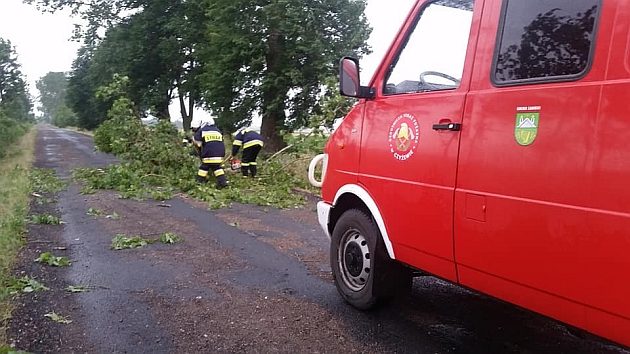 Nawałnice nad Podlasiem. Powalone drzewa i brak prądu