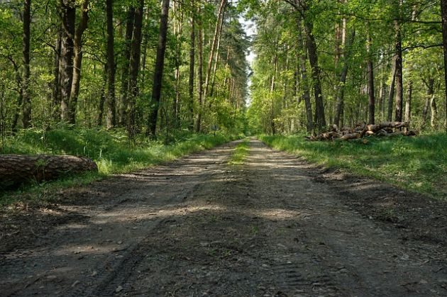 Zamiast lasu - cmentarny kompleks. Mieszkańcy buntują się