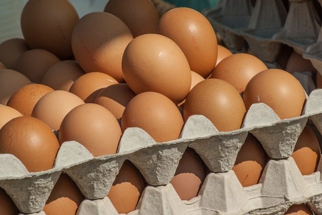Uwaga - jajka skażone salmonellą trafiły do sklepów. Trzeba je zwrócić bądź wyrzucić