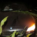 Zniszczył pole kukurydzy. Przy użyciu kradzionego BMW