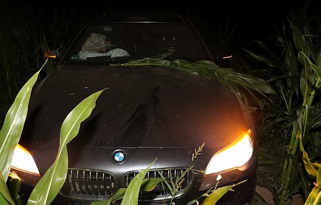 Zniszczył pole kukurydzy. Przy użyciu kradzionego BMW