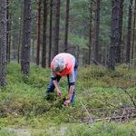 Nowotwór z lasu. Uwaga na bąblowicę