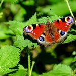 Tydzień na półmetku, a temperatura wciąż rośnie