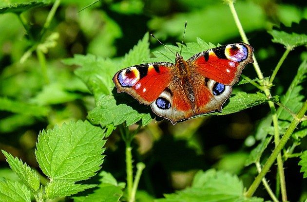 Tydzień na półmetku, a temperatura wciąż rośnie