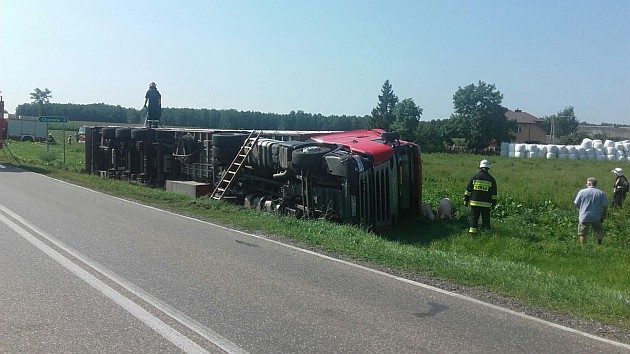 Wypadek z udziałem ciężarówki. Tir przewoził 180 sztuk trzody