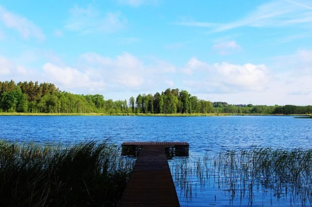 Sinice psują wakacje nad morzem. A jak jest u nas?