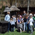 Degustacja miodów i gra terenowa z nagrodami. Wielki Dzień Pszczół w skansenie