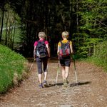 Bezpłatne treningi nordic walking. Zwiększono liczbę zdrowych zajęć