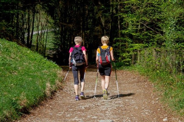 Bezpłatne treningi nordic walking. Zwiększono liczbę zdrowych zajęć