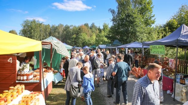 Kultura na weekend. Wakacyjne imprezy w plenerze i za miastem [WIDEO]