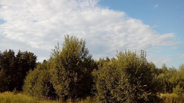 Zapowiada się słoneczny czwartek. Znów wzrośnie temperatura