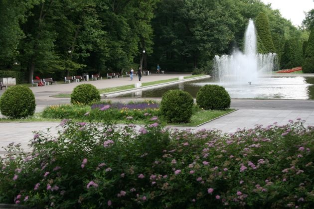 Plenerowy koncert na Plantach. Zagra amerykański muzyk