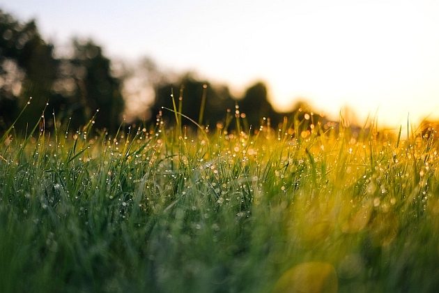 Tydzień na półmetku. Termometry pokażą 23 stopnie