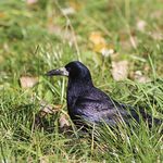 Kolejny dzień września z wiosenną temperaturą