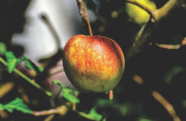 Wtorek z wysoką temperaturą. Pojawi się jednak spore zachmurzenie