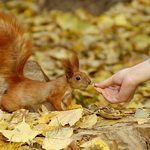 Czwartek z nieco wyższą temperaturą. Nie obejdzie się jednak bez deszczu