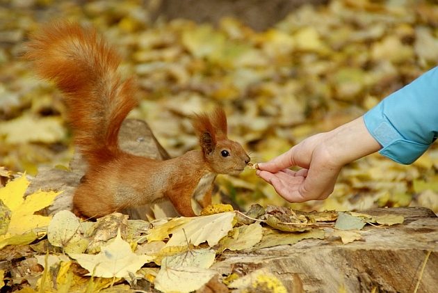 Czwartek z nieco wyższą temperaturą. Nie obejdzie się jednak bez deszczu