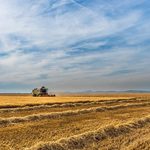 Podlasie jest najmniej zadłużone. Rolnicy regulują swoje zobowiązania