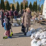 Sadzonki do wzięcia. Mieszkańcy mogą zgłaszać się po kolejne drzewka